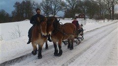 Maj drar sl&auml;den p&aring; julafton