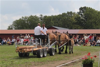 Park&ouml;rning