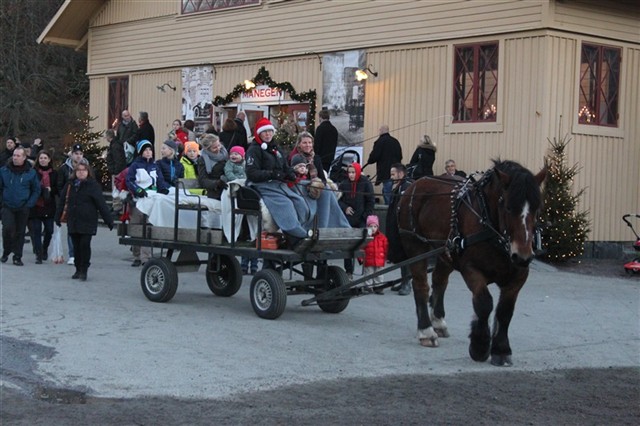 H&auml;stskjuts p&aring; Tjol&ouml;holm