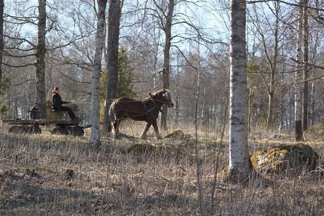 Pokal g&ouml;r sitt bruksprov
