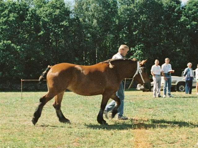 Majas mamma Peggy som 3&aring;ring