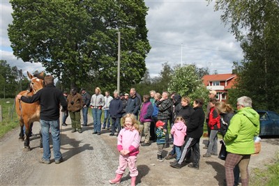M&aring;nga ville l&auml;ra sig mer om exteri&ouml;rbed&ouml;mning
