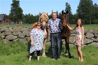 Midsommar