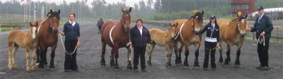 Familjen Magnusson i Misterhult